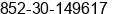 Fax number of Mr. Luis Vitor at Lisbon