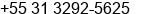 Fax number of Mr. Afonso Figueiredo at belo horizonte