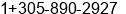 Fax number of Mr. Ronald Ehli at Colonia La Ceiba