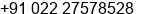 Phone number of Mr. Ryan Wood at Navi Mumbai