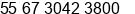 Phone number of Mr. Carlos E. Collato at Campo Grande