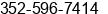 Phone number of Mr. Joe Ciannamea at spring hill