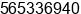 Phone number of Mr. Michael Abasov at New York