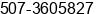 Phone number of Ms. Tina Dang at Via Ricardo J.Alfaro