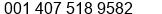 Phone number of Mr. Mike Morrison at Kissimmee