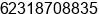 Phone number of Mr. KASMAN ASADI at SURABAYA