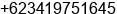 Phone number of Mr. Widyono Putro at Malang