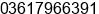 Phone number of Mr. Wayan Adika at Denpasar