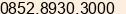 Phone number of Mr. Rudi at Surabaya