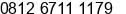 Phone number of Mr. Ricky Fernando at Pekanbaru