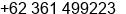 Phone number of Mr. YENDRIK YENDRIK at Denpasar